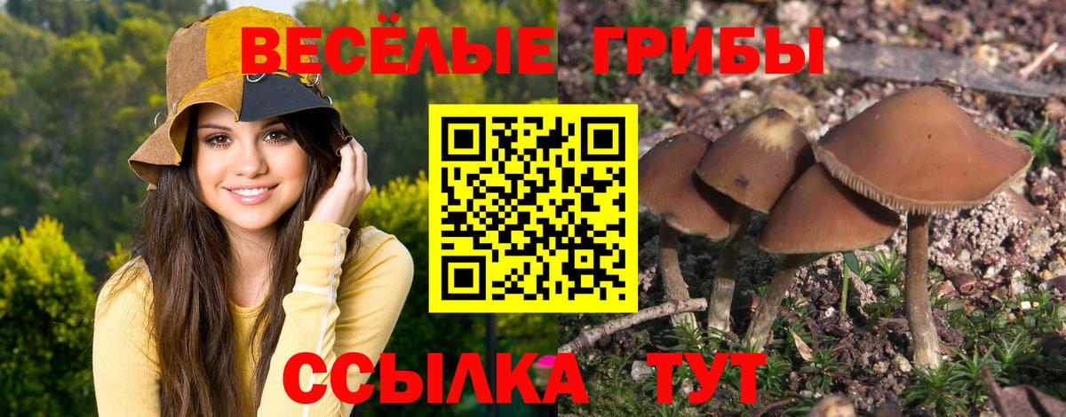 Псилоцибиновые грибы ЛСД Анапа